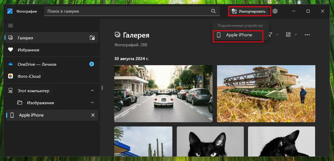 Запуск импорта фотографий с айфона в приложении Фотографии