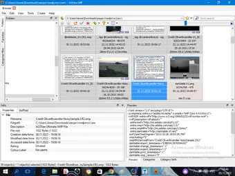 Как выглядят raw-файлы в XnView, которые не открылись для просмотра