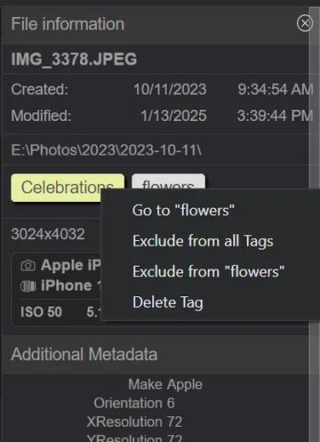 Albums and tags in the File information pane