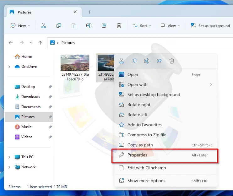 We call the image properties dialog in Windows 11 Explorer