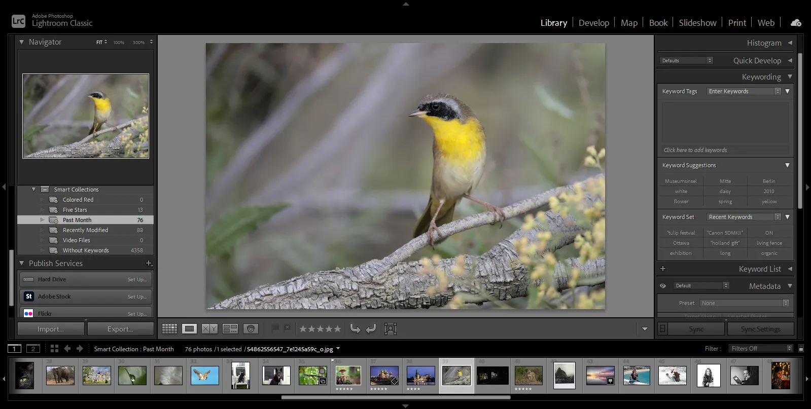 Lightroom Classic interface