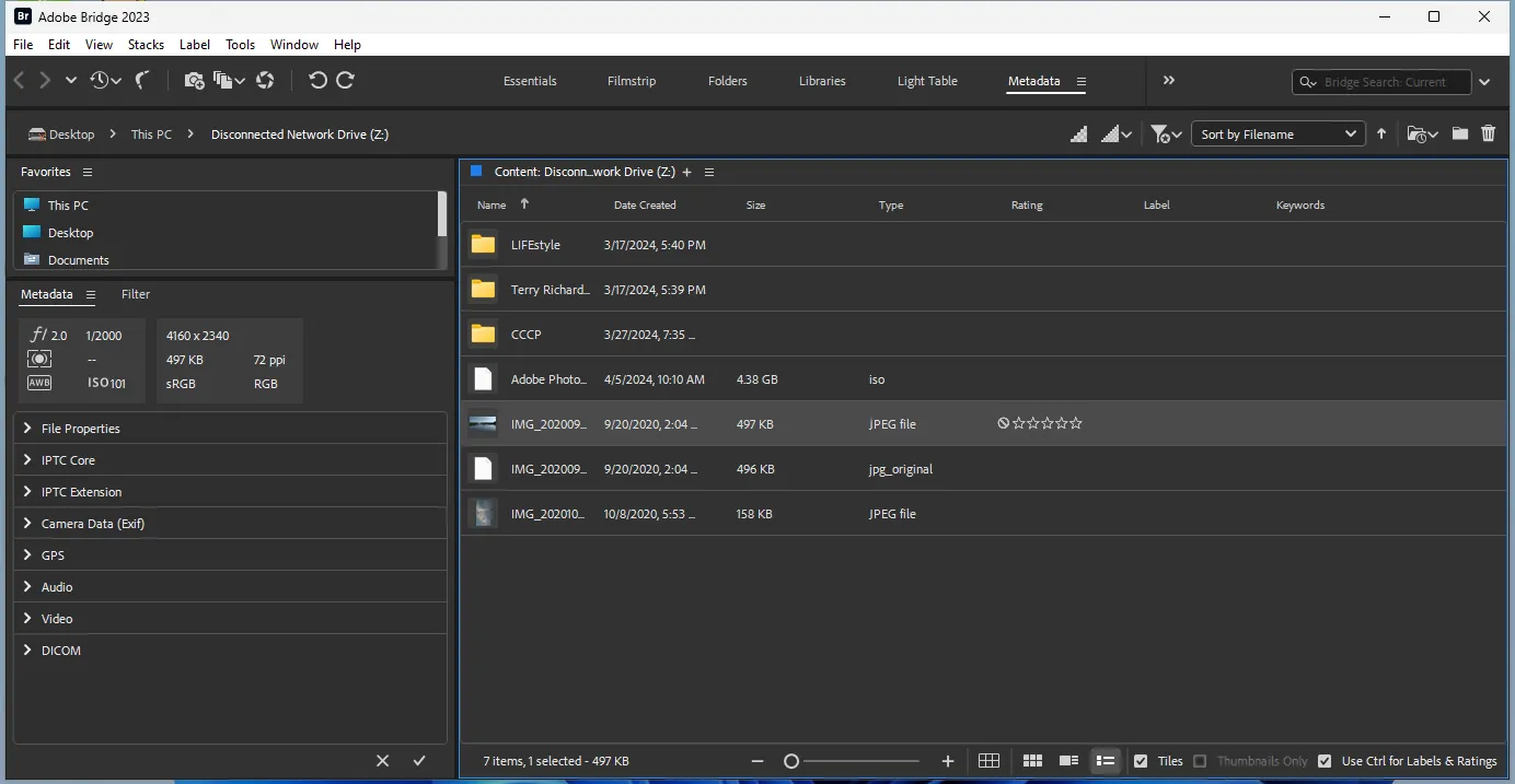 Program interface for viewing and editing Adobe Bridge metadata