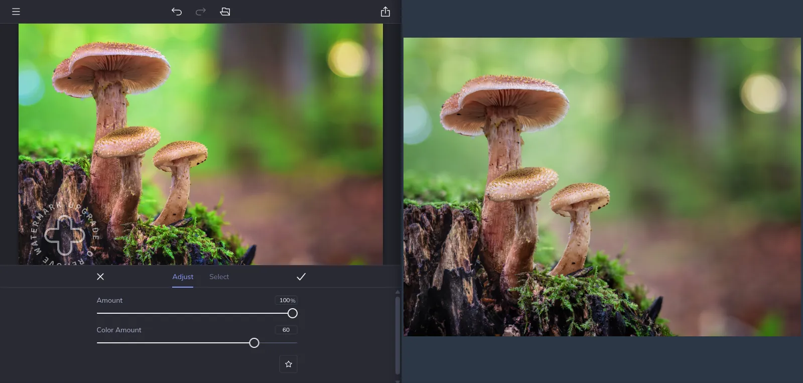 An example of the Vibrant Colors DLX algorithm in action
