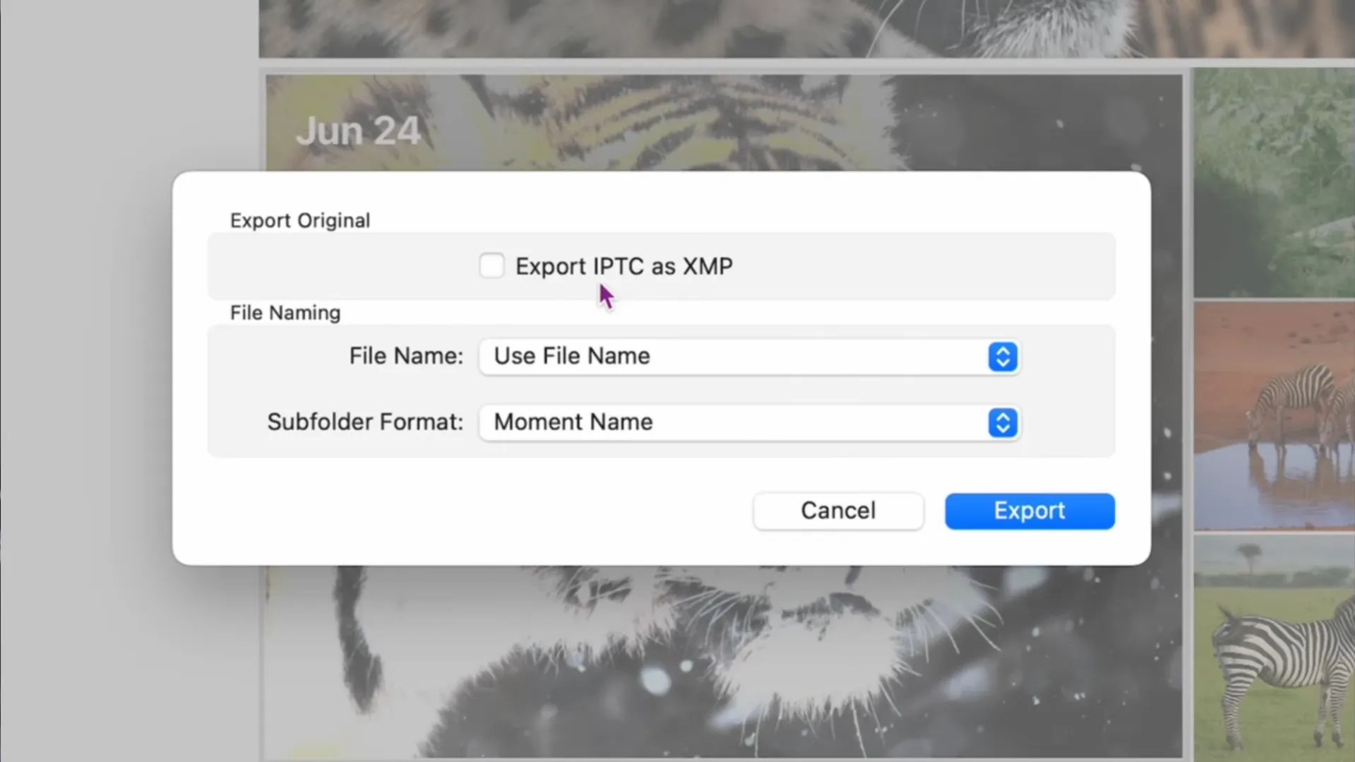 Configuring photo export settings in Apple Photos