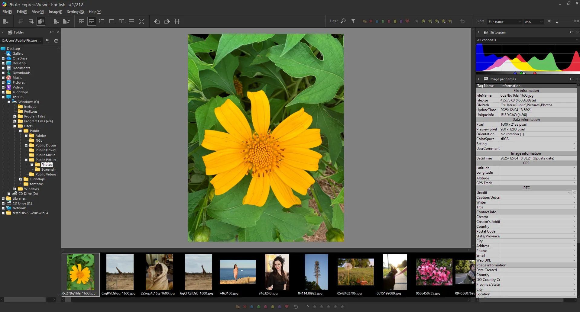 Интерфейс Photo ExpressViewer
