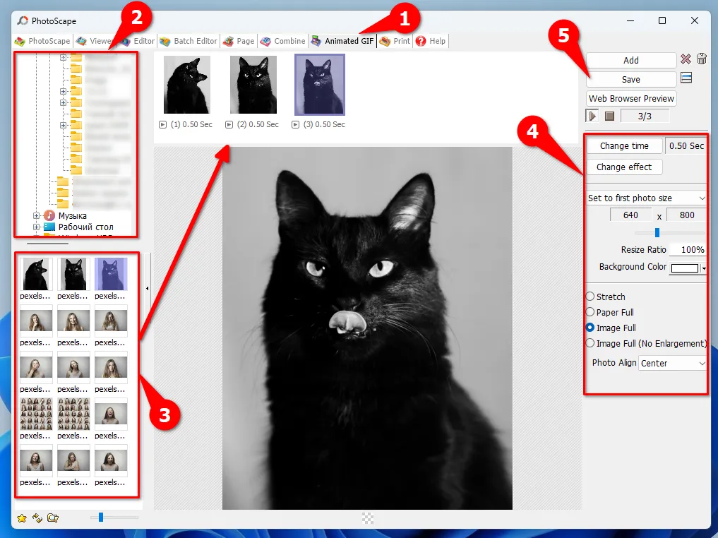Как сделать гифку из фотографий в PhotoScape