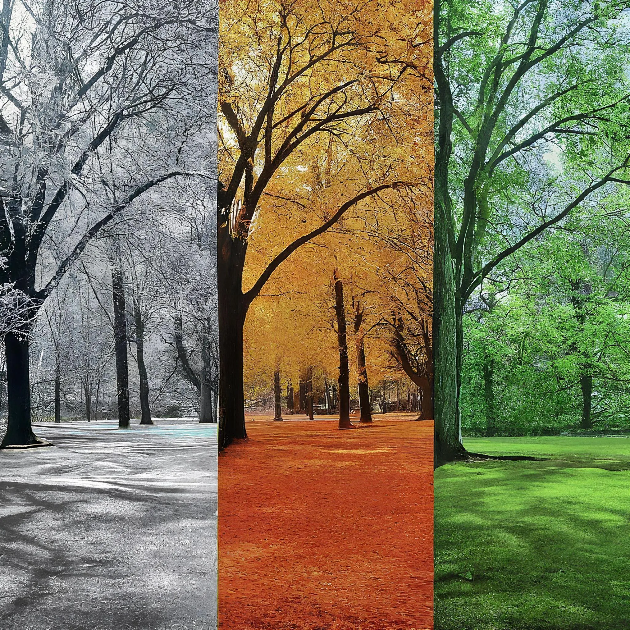 An example of creating a story of how a city park changes throughout the year using a photo collage