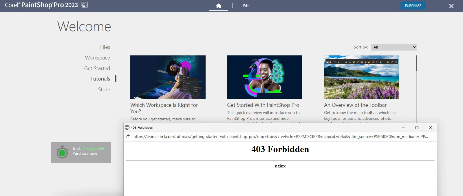 Corel PaintShop Pro Tutorials