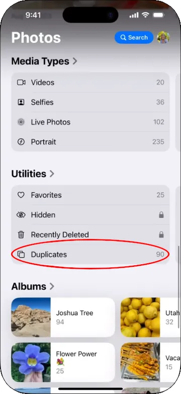 Duplicate photos in Photos