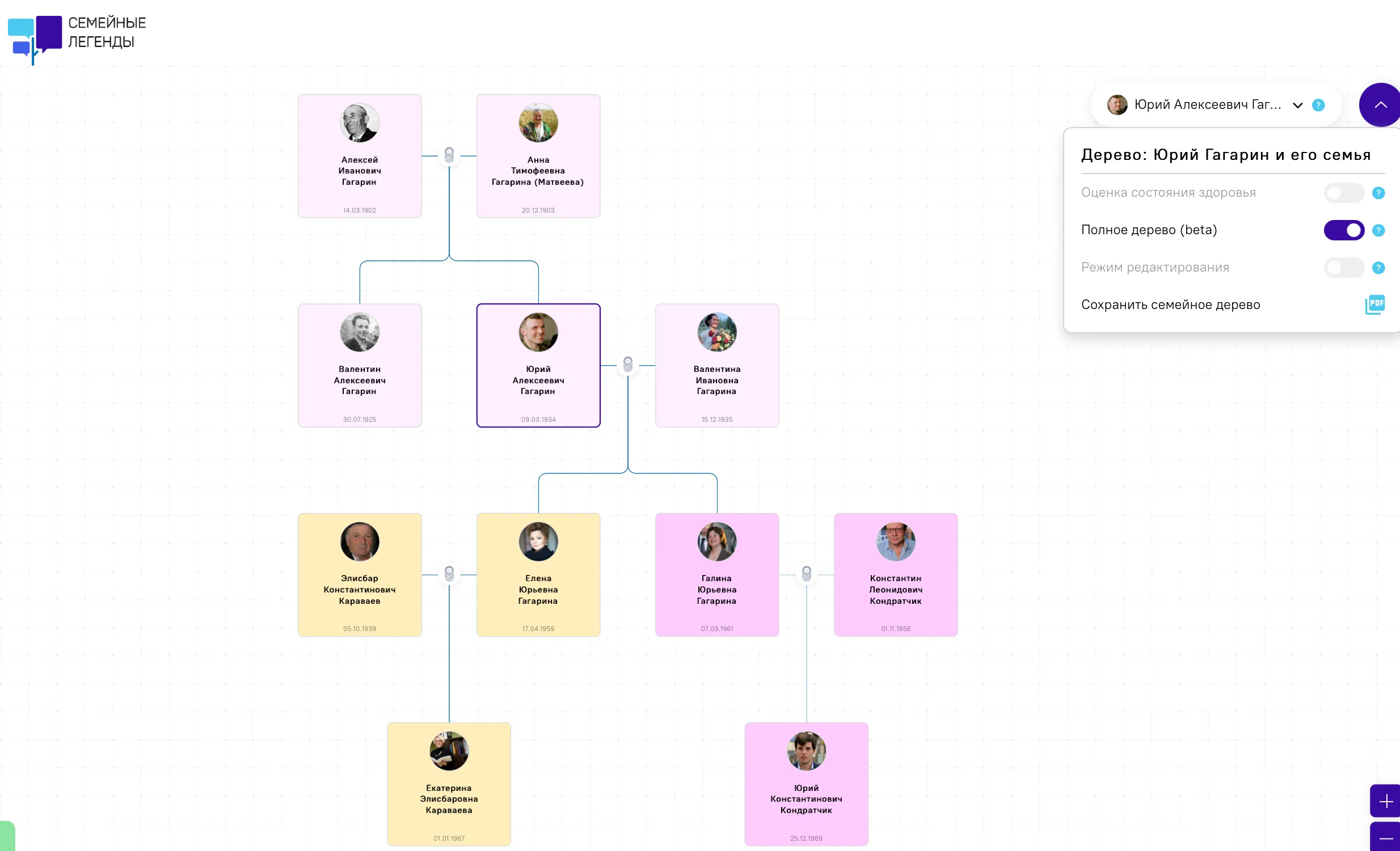 Внешний вид семейного дерева в сервисе Семейные легенды