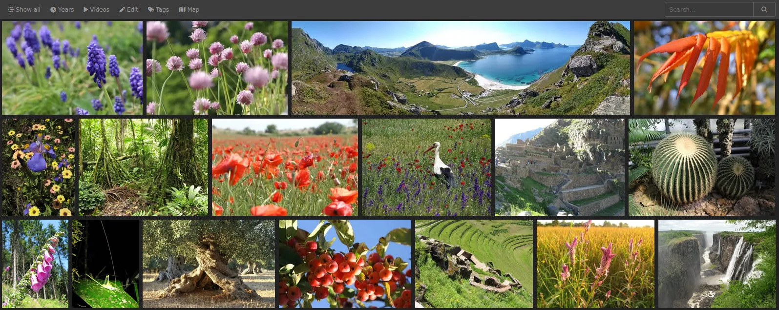 Implementation of filtering by content in the server program for storing photos Home Gallery