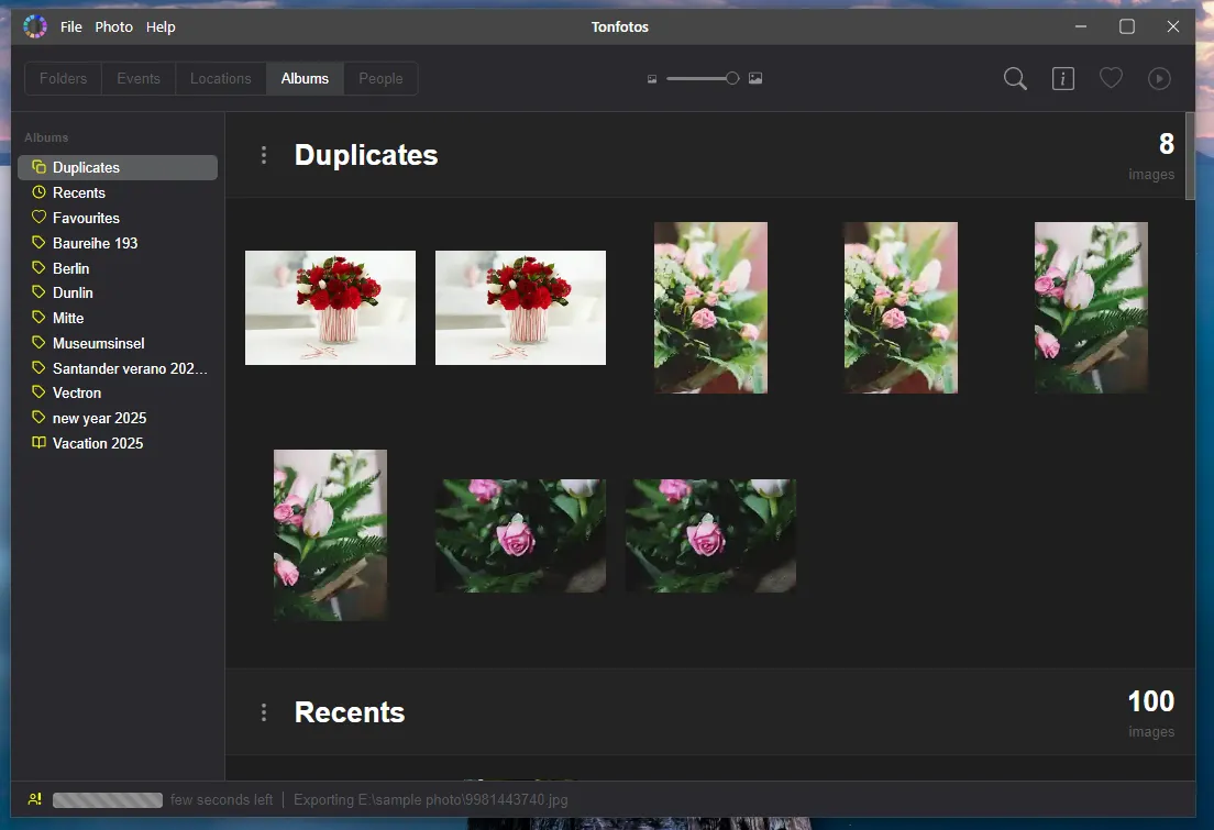 Duplicate digital photographs detected