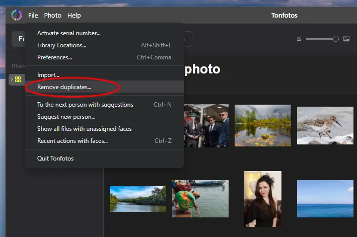 Tonfotos Duplicate Finder
