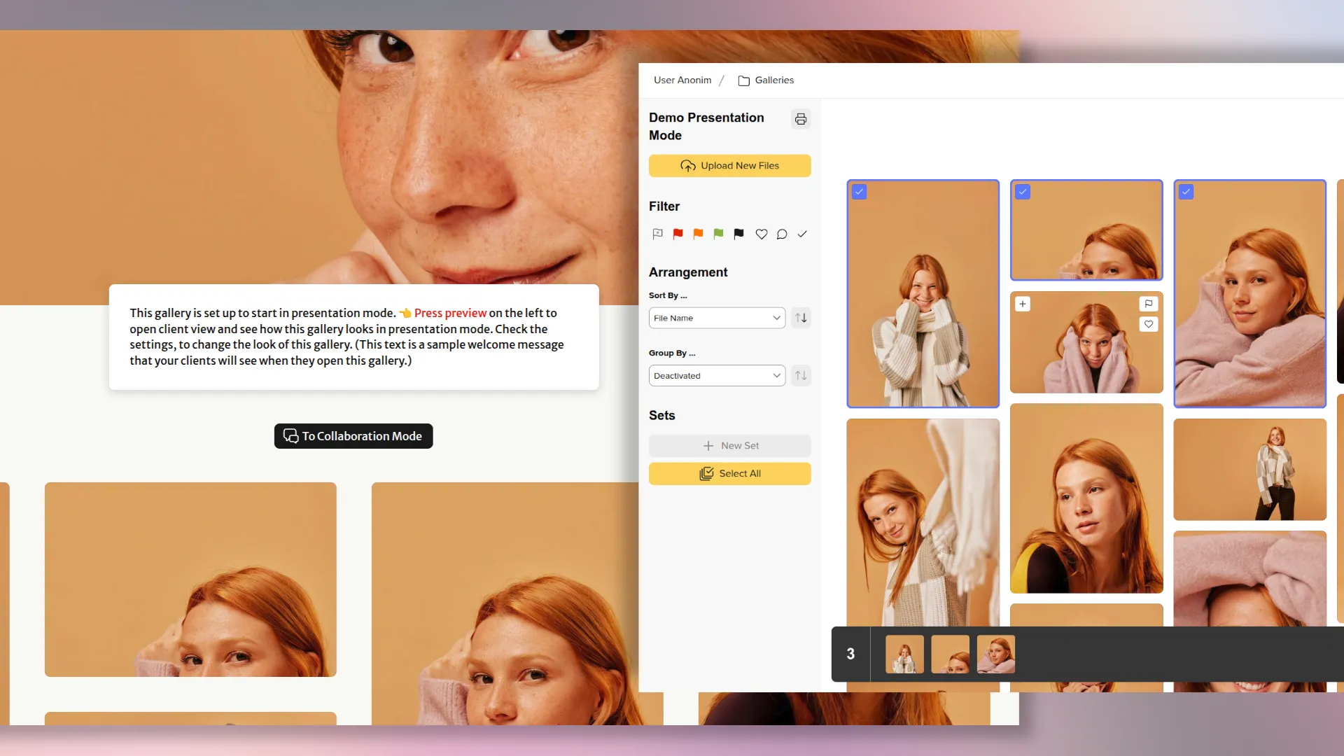An example of a Picdrop gallery display in presentation and collaboration mode