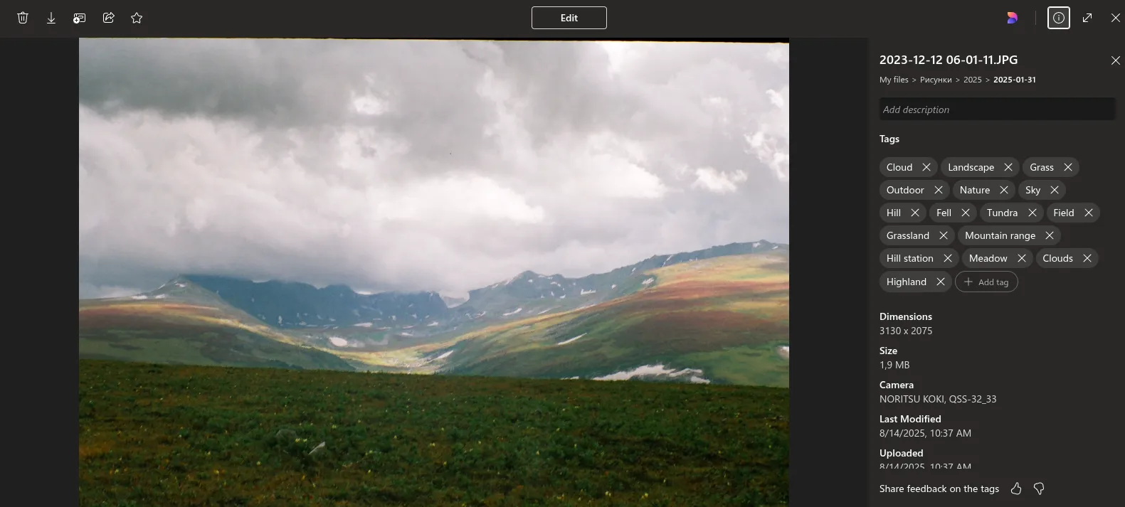 Tagging an Image in OneDrive