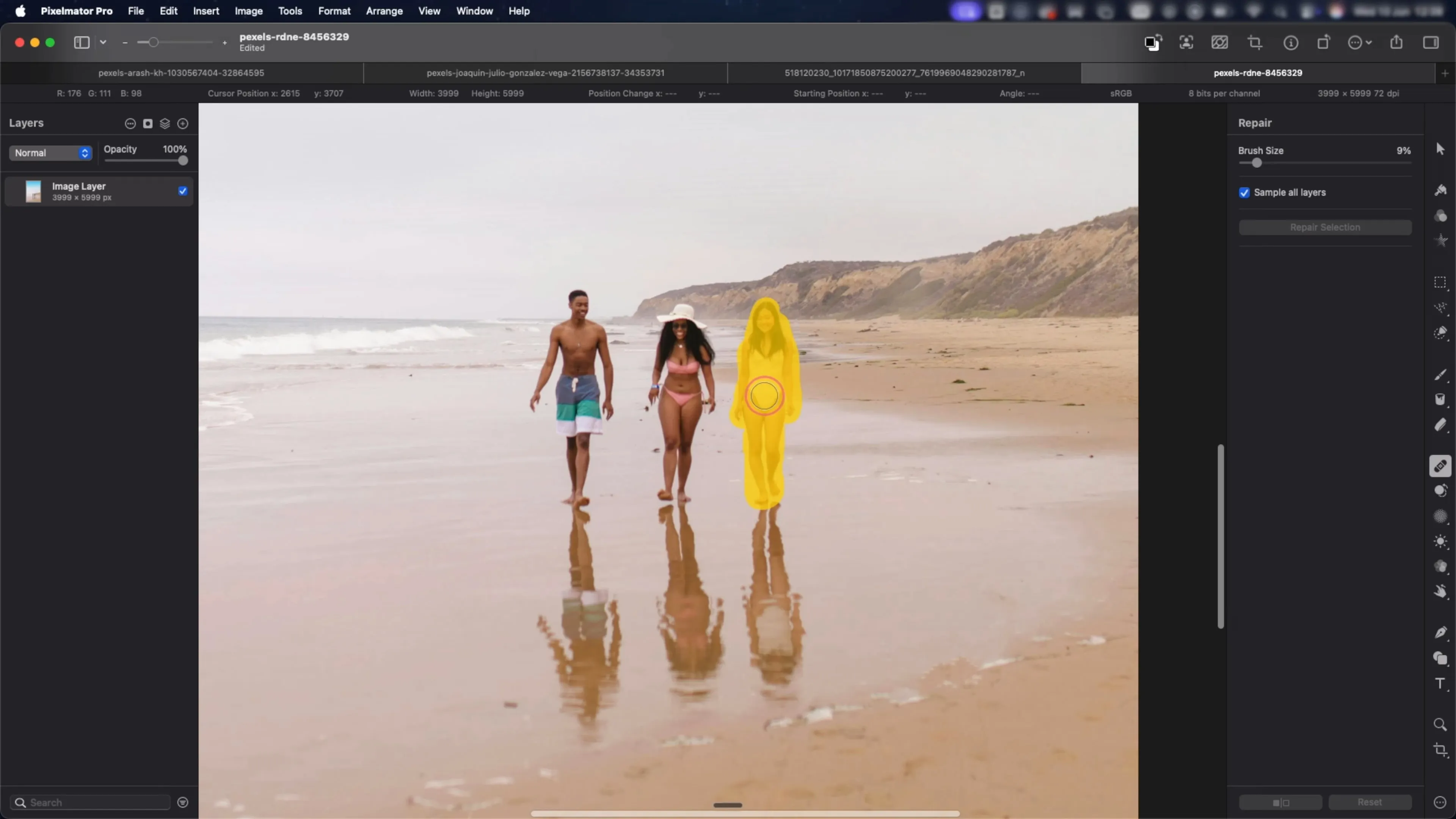 Verwendung des Werkzeuges zum Entfernen von Objekten in Pixelmator Pro
