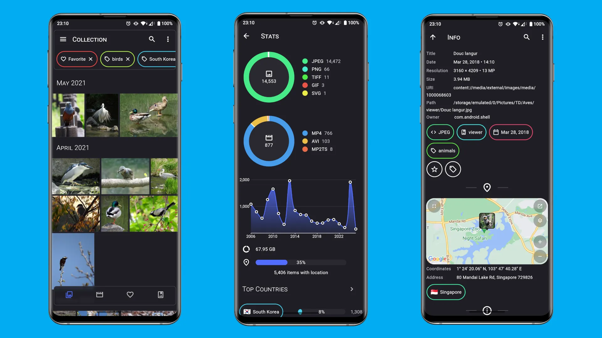 The interface of the photo organization app Aves Libre