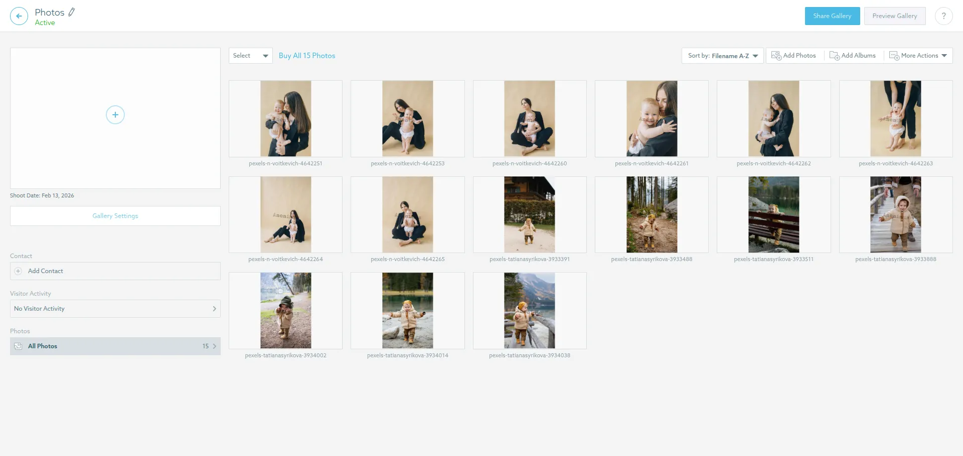 ShootProof Gallery Options