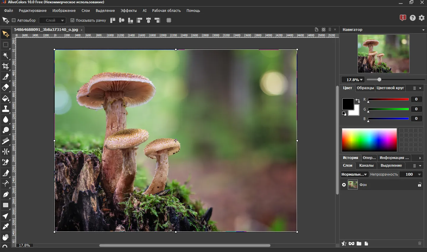 Интерфейс и доступные инструменты AliveColors