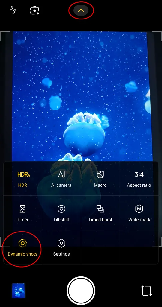 Activating Live Photo shooting on Android